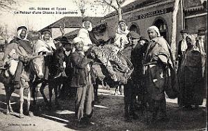 ALGERIE - LA PANTHERE (6)
